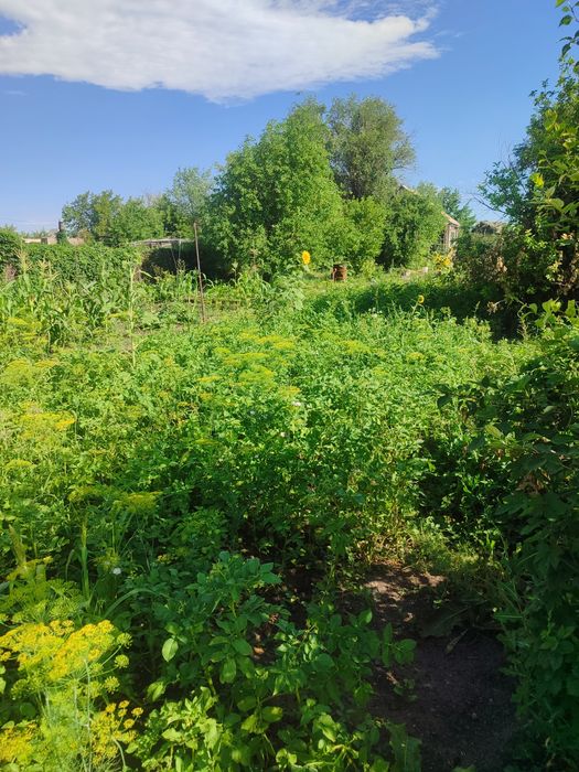 Продаю дачу до Алма