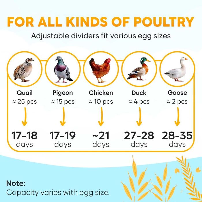 Автоматичен инкубатор за яйца 10 бр. с обръщане и влажност