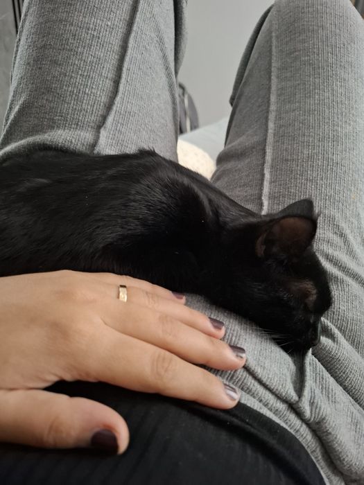 Бесплатно берилади