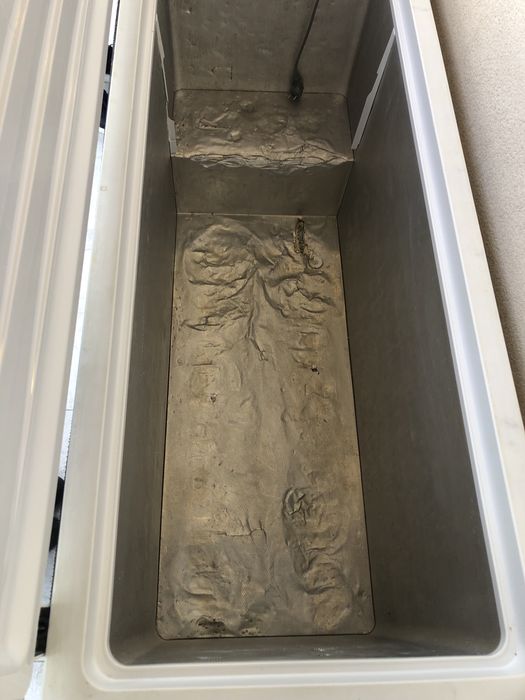 Lazi congelare arctic