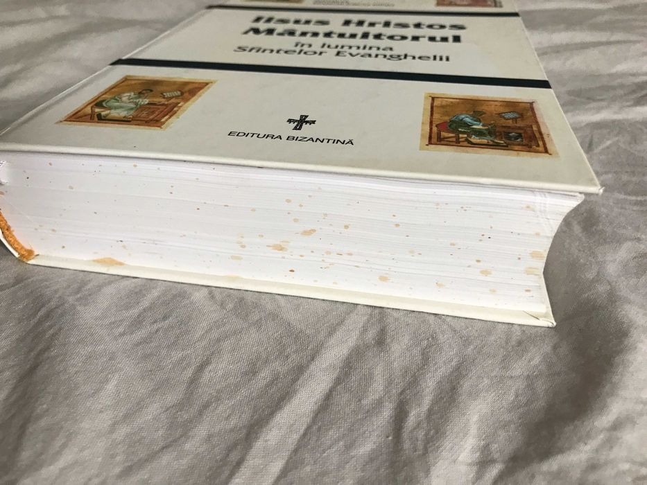 Natalia Manoilescu Dinu - Iisus Hristos Mantuitorul