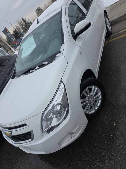 MCM STAIL Notarius Bonus