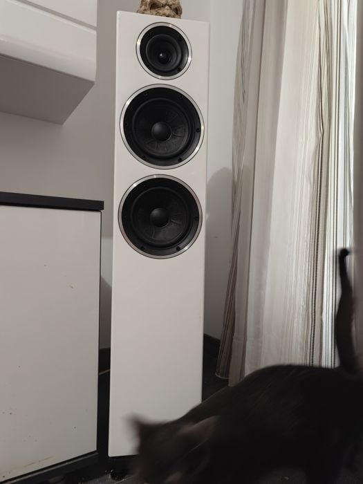 Home Cinema - TV OLED LG C2 48 + HiFi audio Boxe, Receiver, Subwoofer