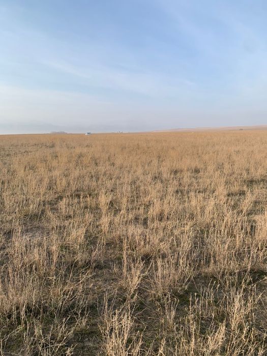 Продается участок 7 гектар срочно