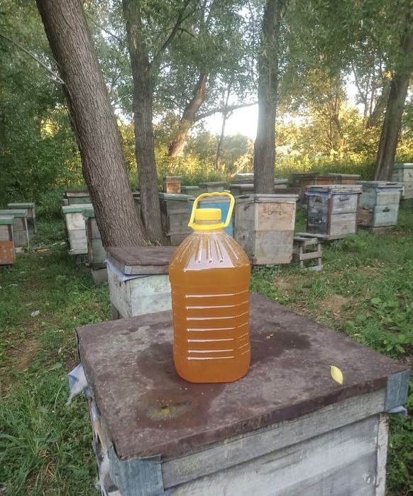 Продам мёд разнотравье