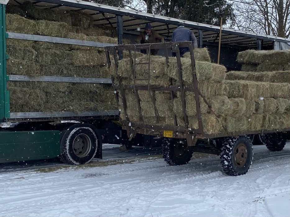 Vând baloti de fân