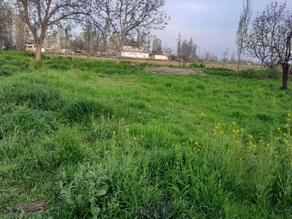 Yer sotiladi srochna