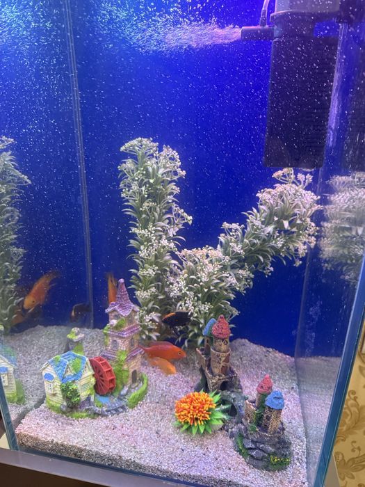 Akvarium 112Litrli