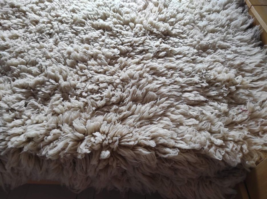 Вълнен китеник НОВ