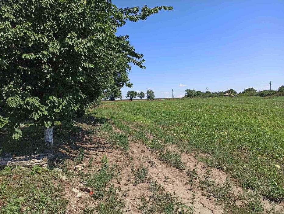 Продава се Земеделски имот в с. Къпиново, Област Добрич -  кв.м за 3296 €/дка - Снимка #16