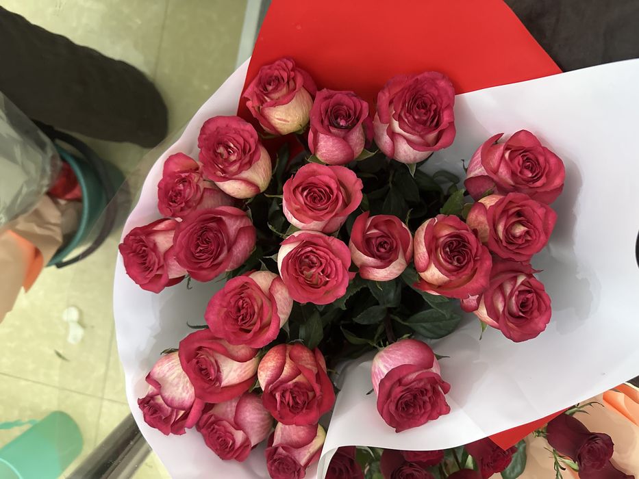 Голландские розы , свежие
