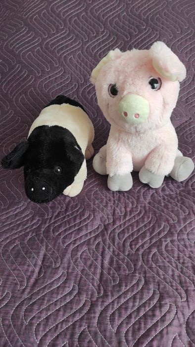 Animale de plus - porc