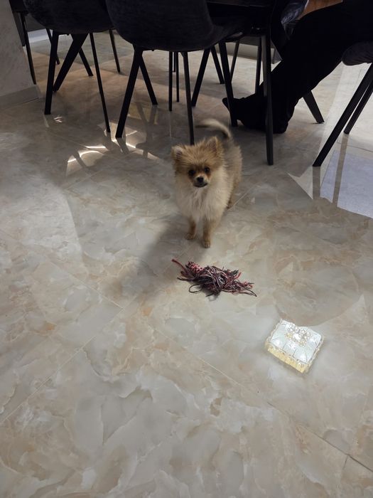 Сладко померанче