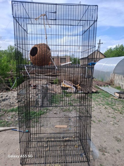 Большая   Клетка