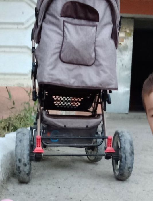 Bars kalyaskasi. Bahorda olingan 4 oy ishlatilgan holati yaxshi.