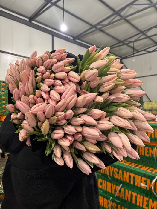 Цветы , букеты роз , тюльпанов,пионы