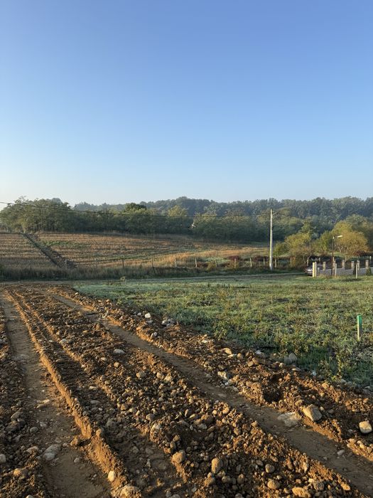 Parcele de vanzare Pausa