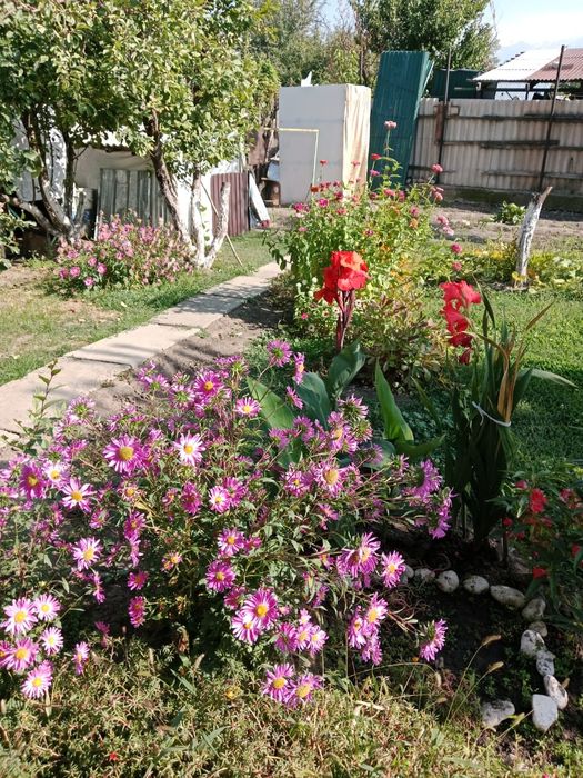 Срочно продам дом