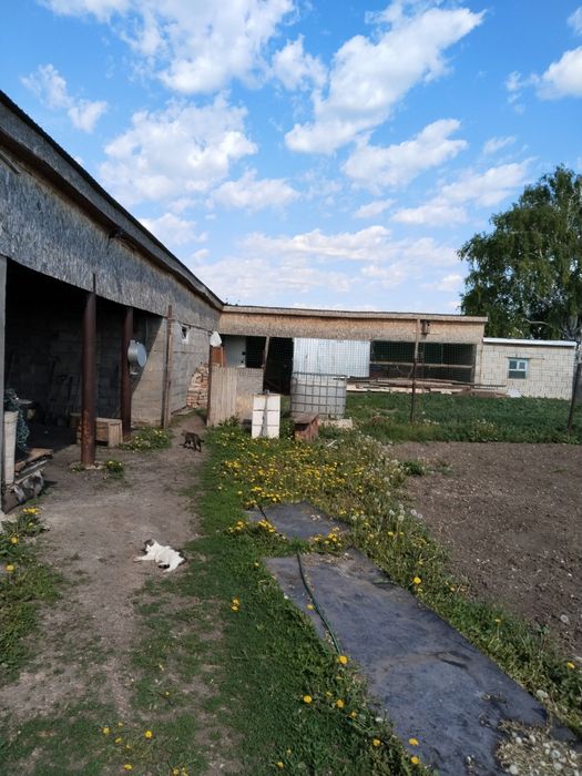 Продам дачу есть все