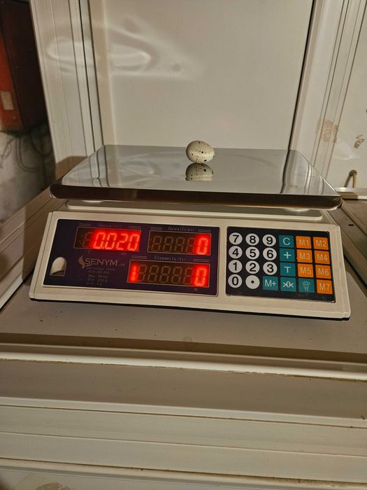 Инкубационные яйца