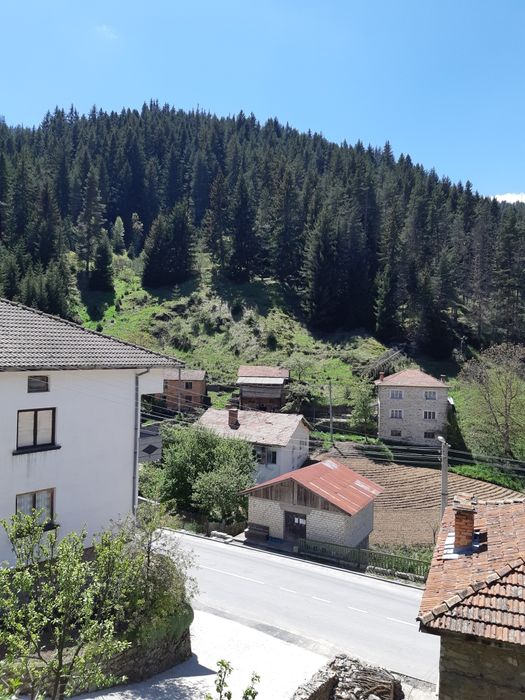 Продава се Къща в Смолян, Нов център - 500 кв.м за 110 €/кв.м - Снимка #11