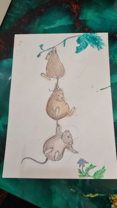 Рисунки акварель