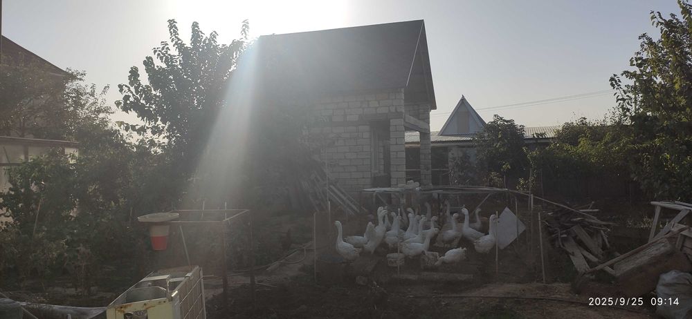 Продается дача  6 соток