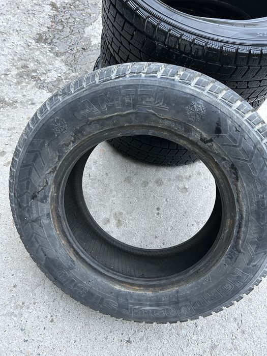 Продам резину dunlop и amtel