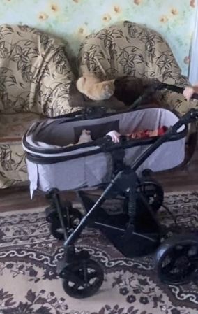 Коляска детская