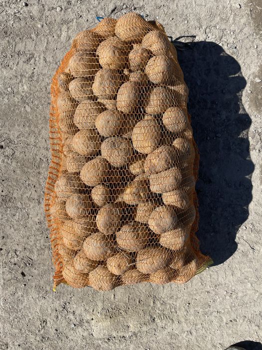 Cartofi consum Alb (0,7 lei) Vineta