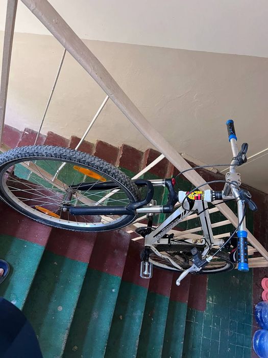 Velosiped 26.  Arzonga bervorvomiza