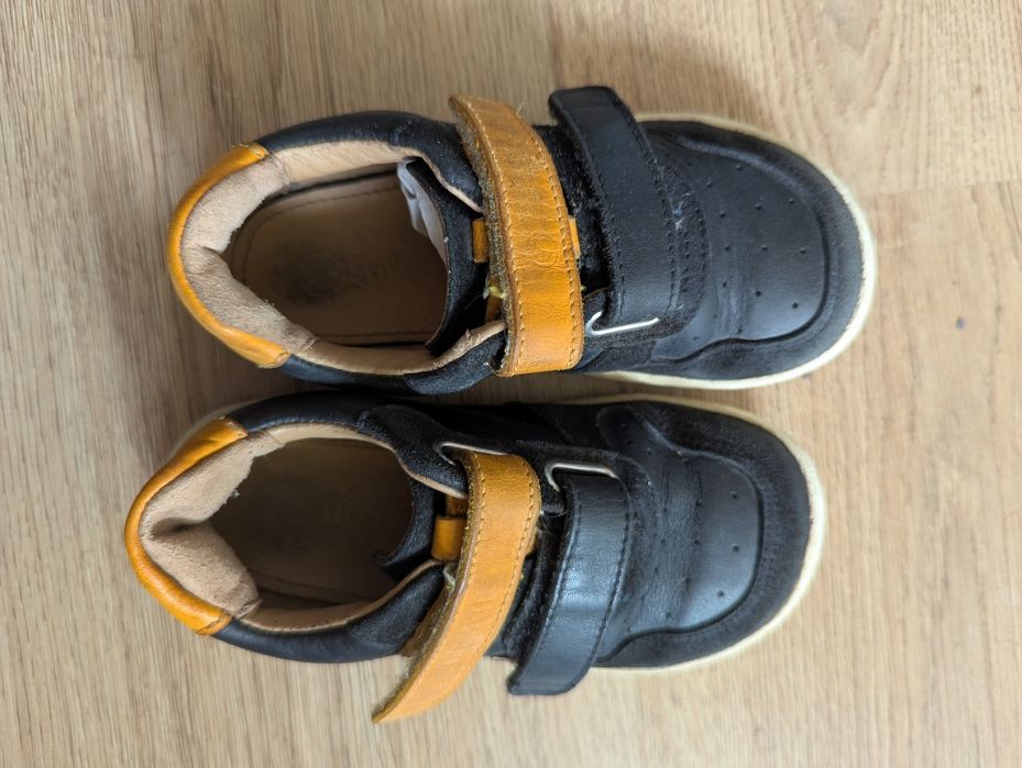 B-lifestyle anuraFrosch 25 кожени