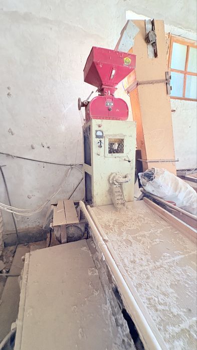 Шоли тегирмони куп ишламага