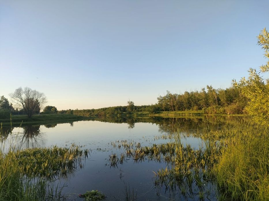 Продам дачный участок