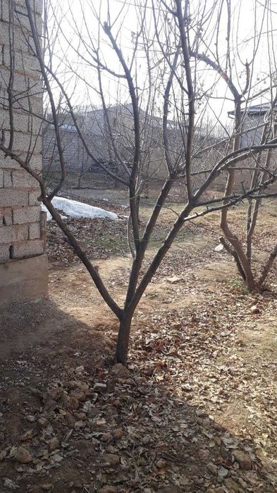 Продаётся земля 5 соток