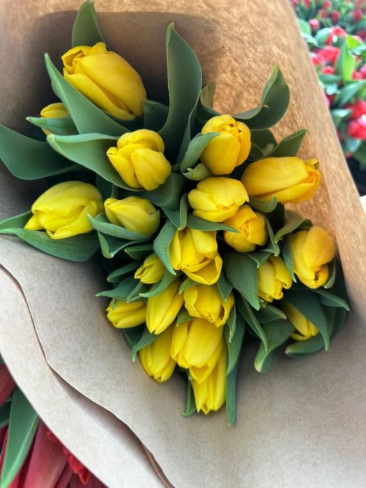 Предзаказ тюльпанов к 8 марта
