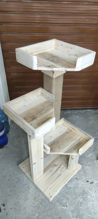 Котешка катерушка дърво