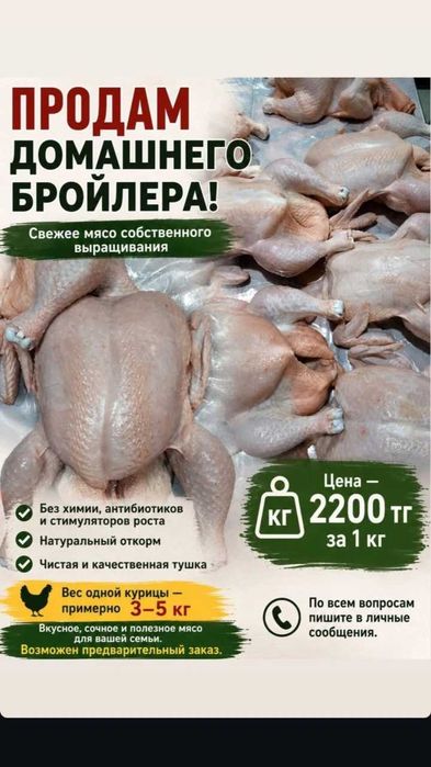 Продам курицы бройлер