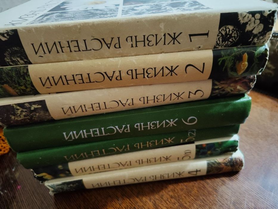 Товары для школьников