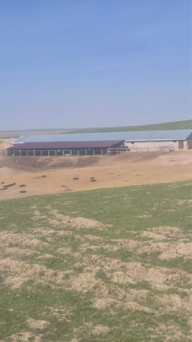 Продам фазенду 100 гектара