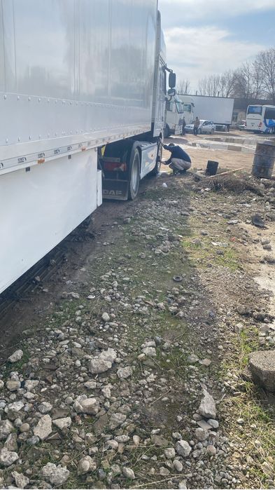 Daf 95 XF рефрежератор smitz cargobul