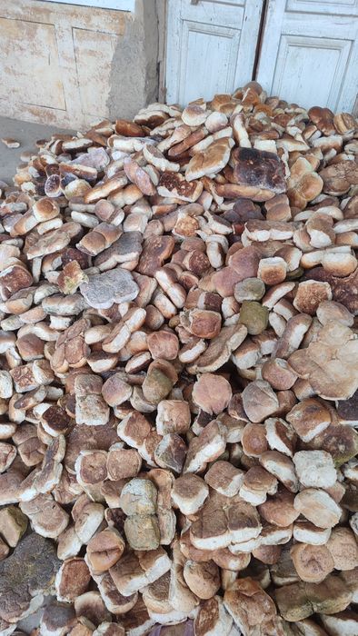 Булочка возврат буган молга  йем