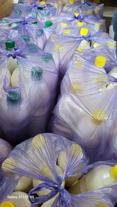 Арулар сквитинг