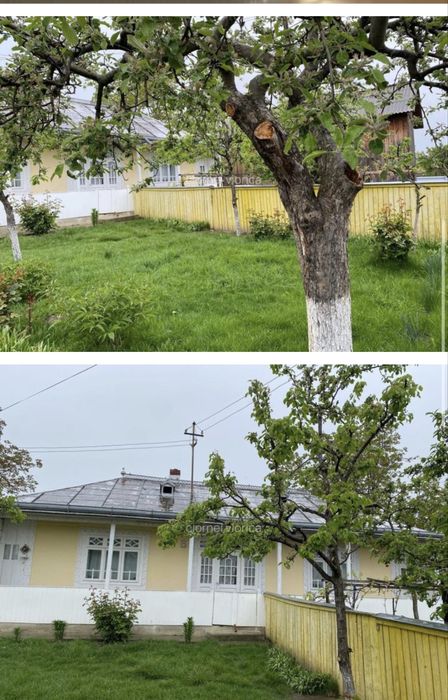 Vand teren (loturi separate) inclusiv un lot cu casa bătrânească