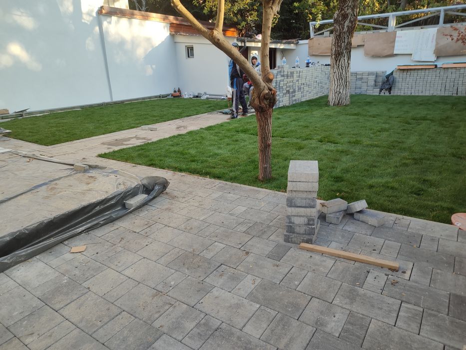 Gazon rulou 24 de lei m2. Transport și montaj inclus.Tuia zmarald .