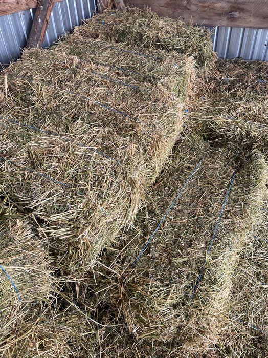 Baloți și lucernă de vânzare !