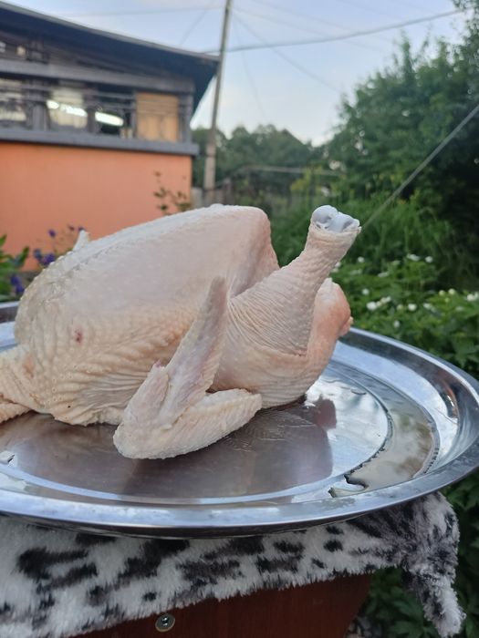 Мясо домашнего бройлера