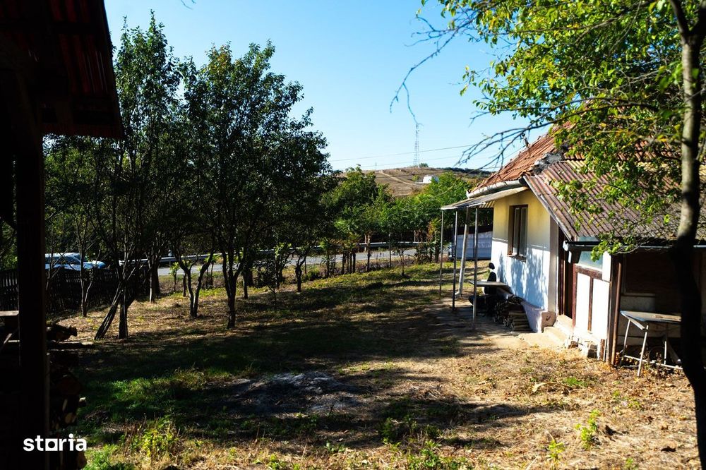 Teren Parcelabil I 11400 MP I Corpadea