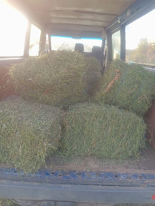 Продавам бали сено, бали слама и бали люцерна