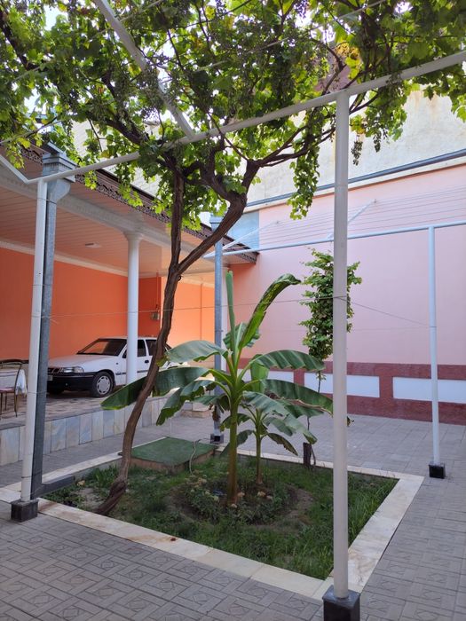 Hotel Farxod мехмонхона гостиница отель хостел hostel gastinitsa госте